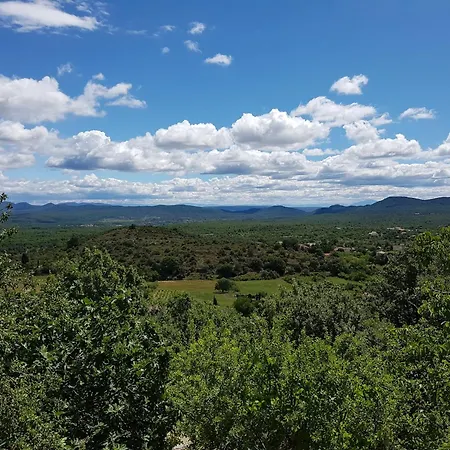 Views Pool & Nature Vila *