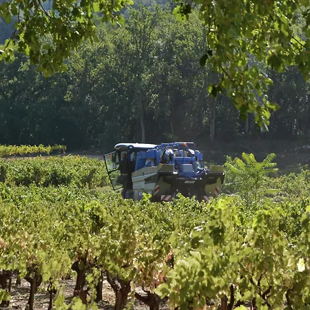 Vila Views Pool & Nature Courry