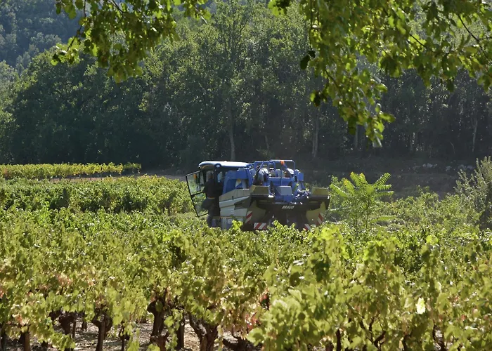 Villa Views Pool & Nature Courry